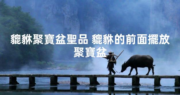 貔貅聚寶盆聖品 貔貅的前面擺放聚寶盆